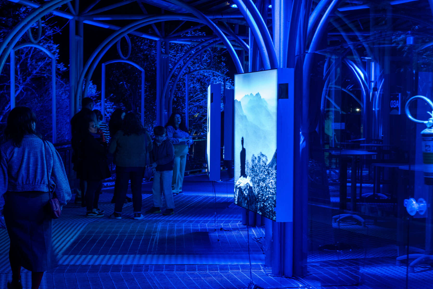 Exposição Montes e Vales – Parque Jaime Lerner 10